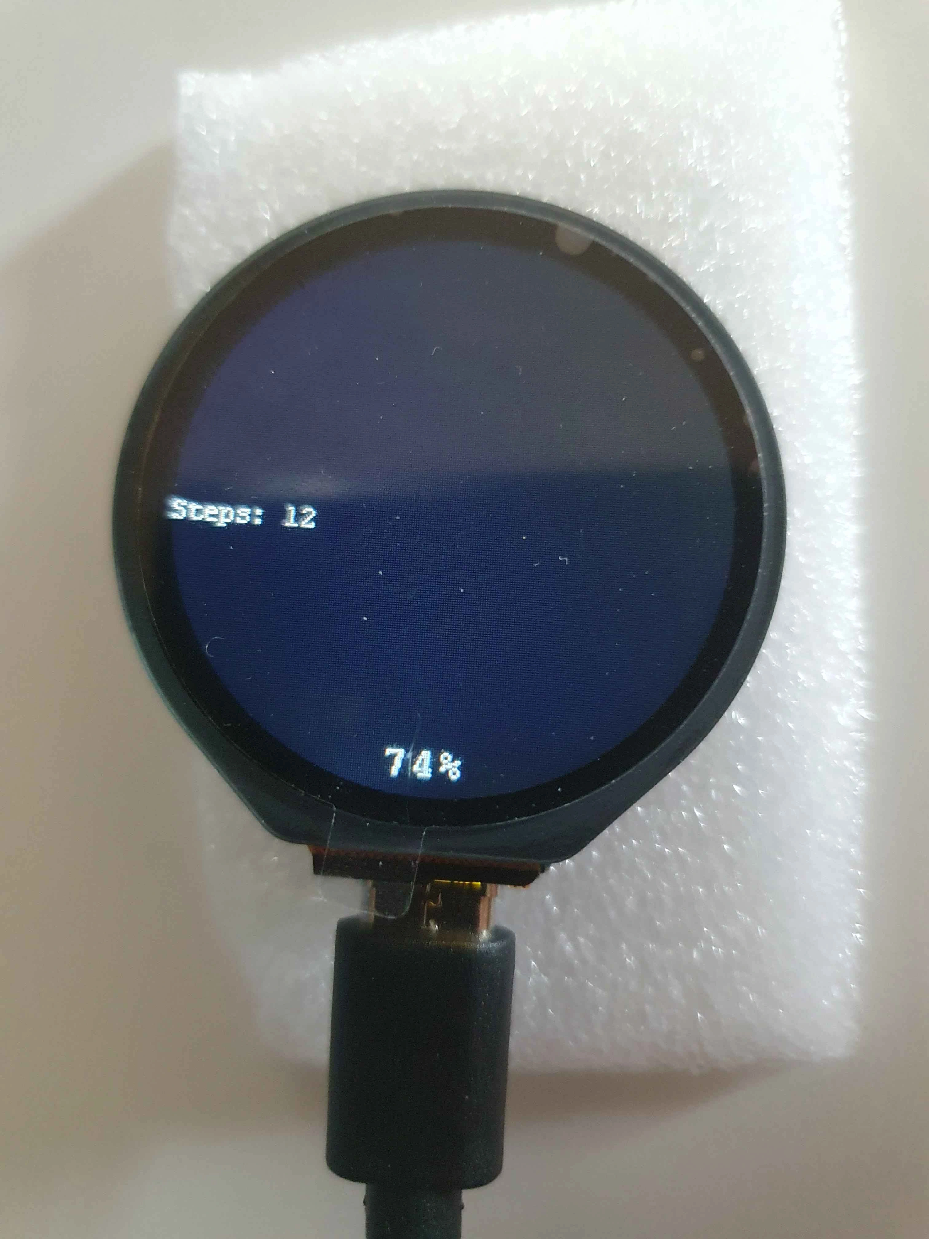 Smartwatch Interface